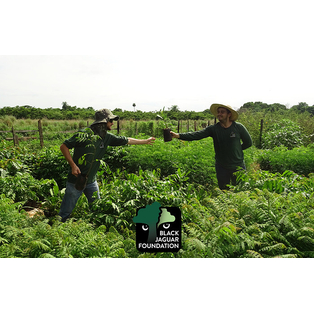 Winner Supplied Image - The Black Jaguar Foundation